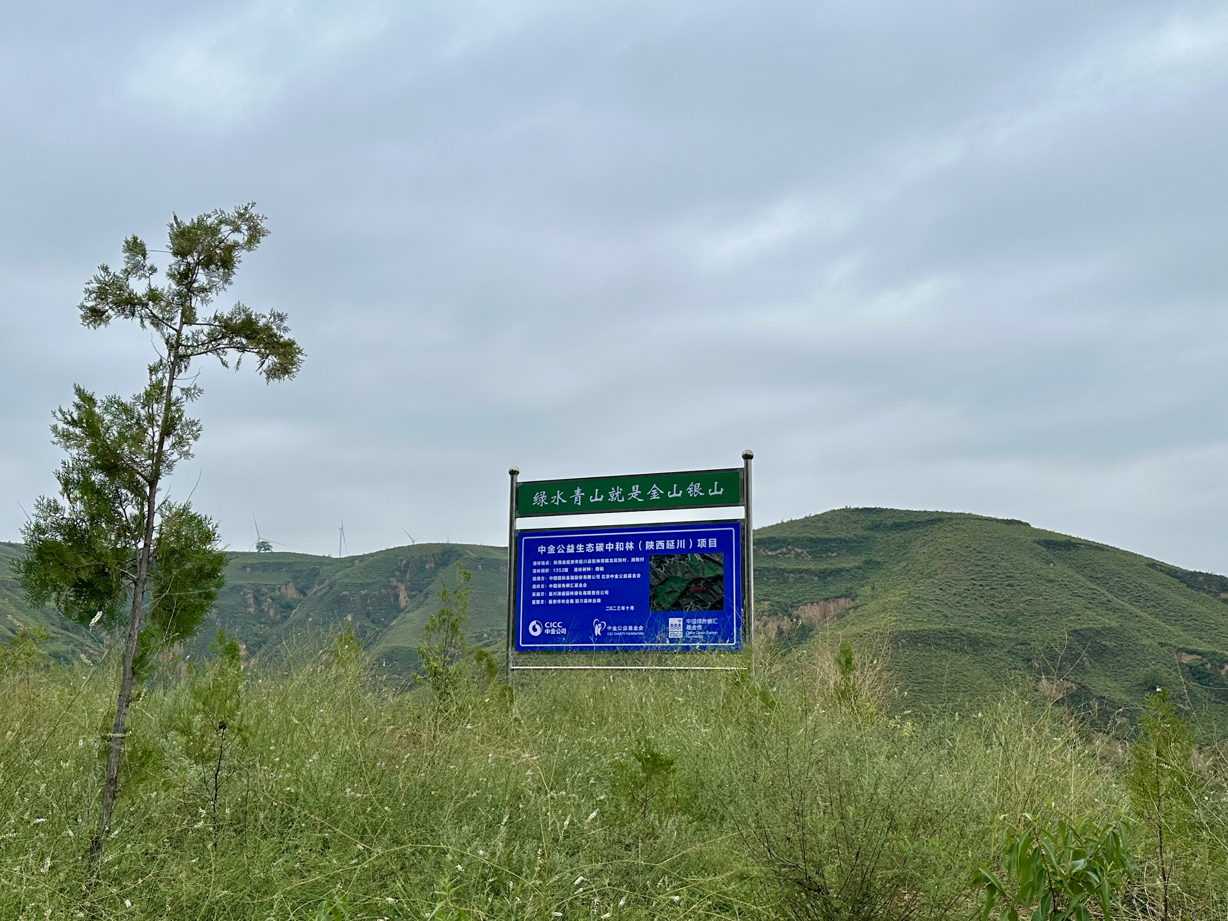 202508回访原图.jpg